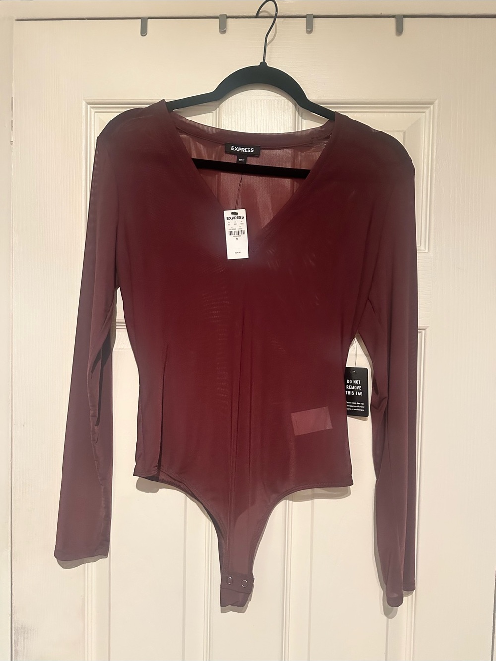 Express Burgundy Long Sleeve V-Neck Bodysuit